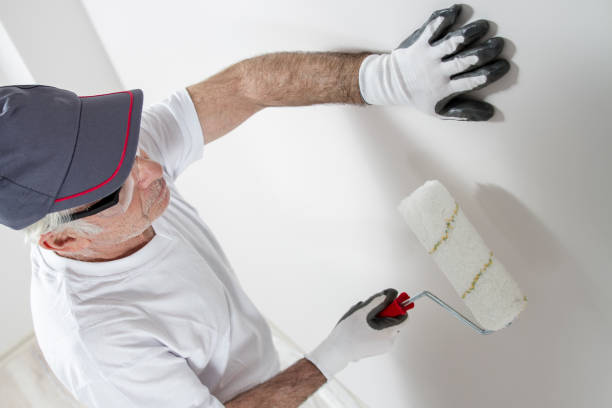 Best Mold-Related Health Consultation  in Halfway, MD
