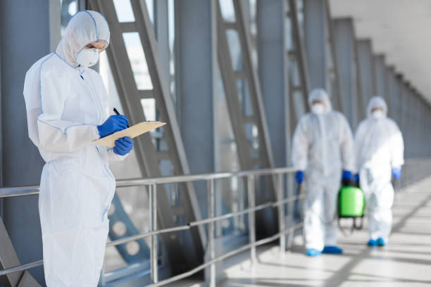 Trusted Halfway, MD Mold Removal Experts