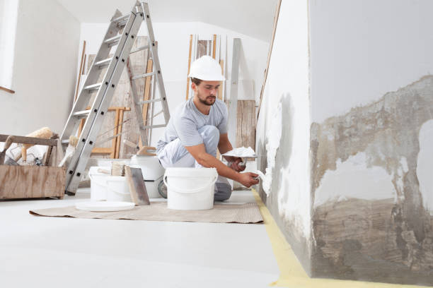 Best Mold Odor Removal Services  in Halfway, MD