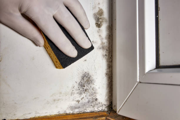 Best Indoor Air Quality Assessment  in Halfway, MD