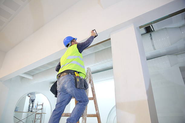 Best Air Quality Testing for Mold Spores  in Halfway, MD