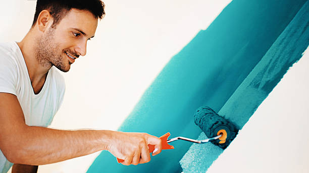 Best Mold Damage Restoration  in Halfway, MD