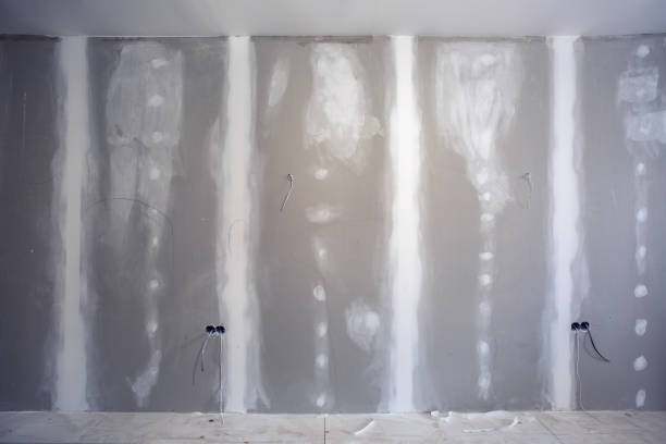 Best Biohazard Mold Removal  in Halfway, MD